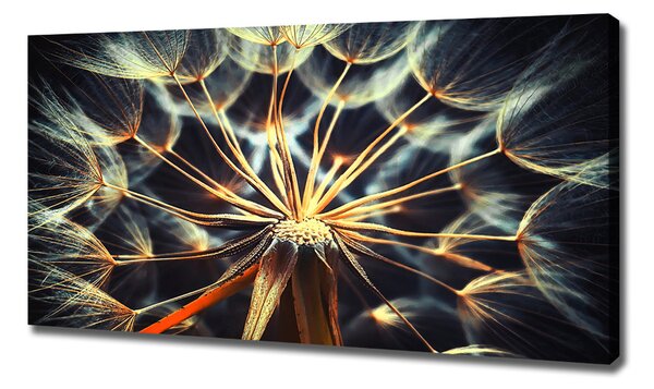 Print pe canvas păpădia