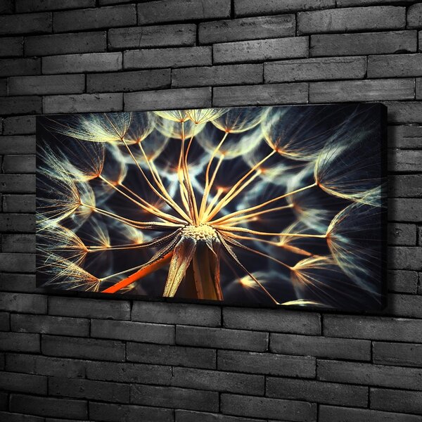 Print pe canvas păpădia