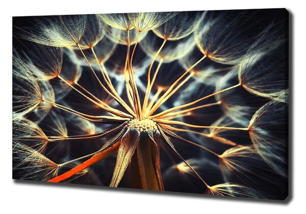Print pe canvas păpădia
