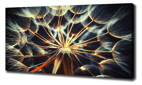 Print pe canvas păpădia