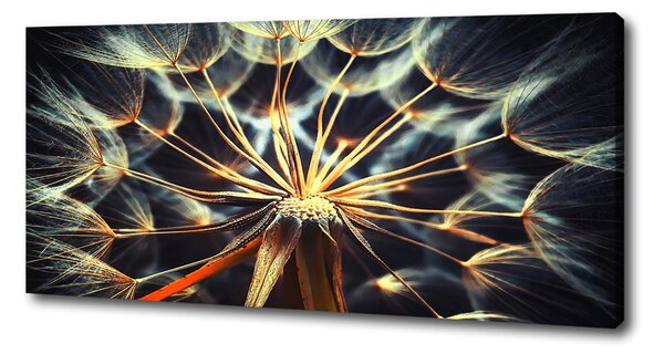 Print pe canvas păpădia
