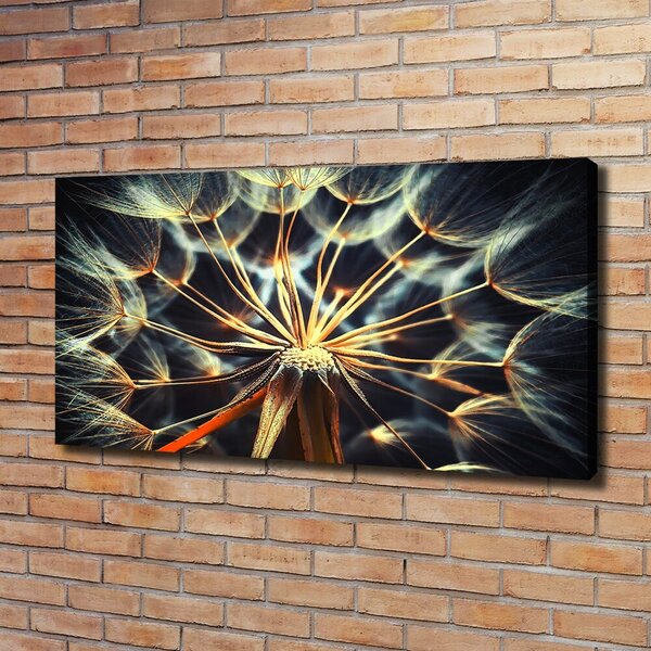 Print pe canvas păpădia