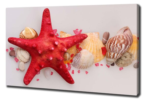 Tablou canvas Starfish și scoici