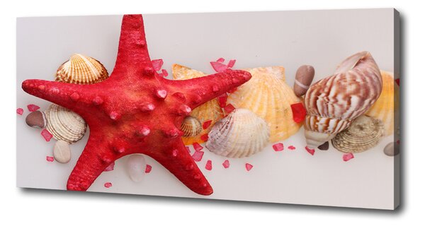 Tablou canvas Starfish și scoici