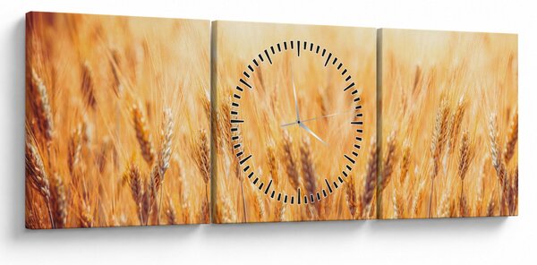 Tablou - câmp cu grâne (cu ceas) (90x30 cm)