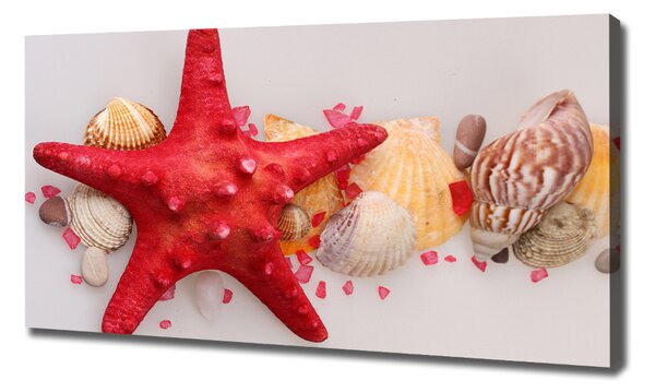 Tablou canvas Starfish și scoici