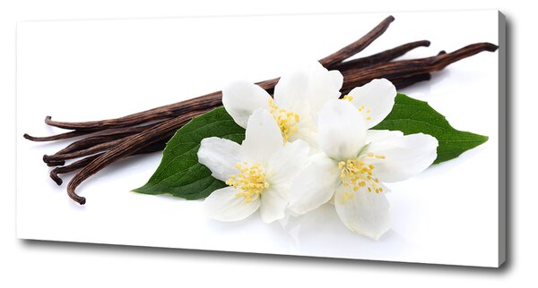 Tablou pe pânză canvas Jasmine și vanilie