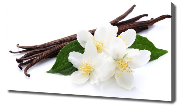 Tablou pe pânză canvas Jasmine și vanilie