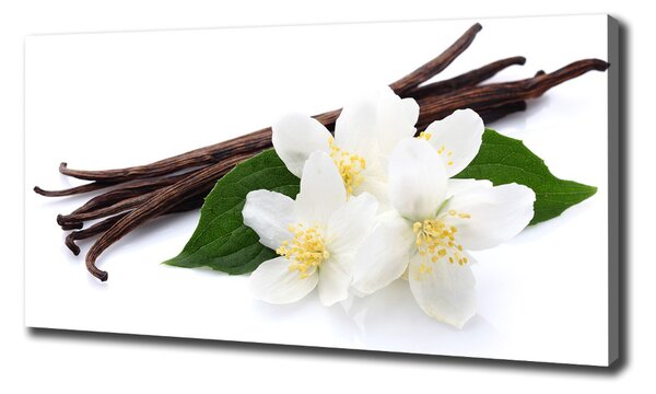 Tablou pe pânză canvas Jasmine și vanilie