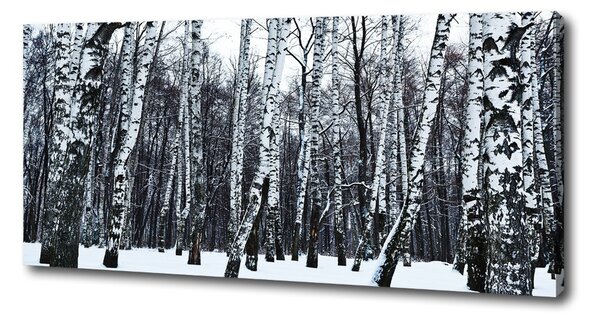 Print pe canvas mesteceni în timpul iernii