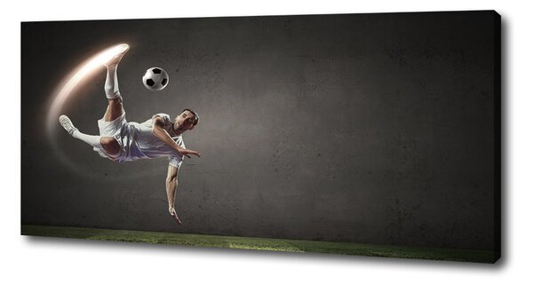 Tablou pe pânză Fotbalist
