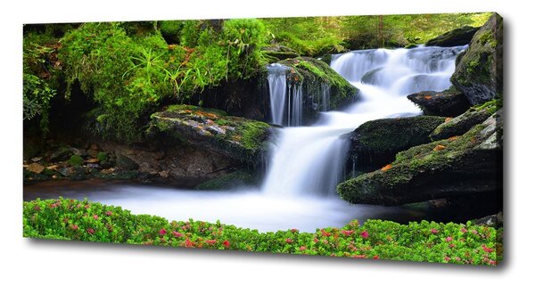 Tablouri tipărite pe pânză Cascada din pădure