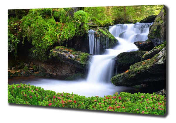 Tablouri tipărite pe pânză Cascada din pădure