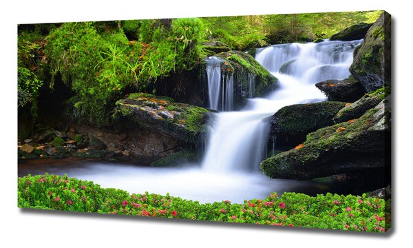 Tablouri tipărite pe pânză Cascada din pădure