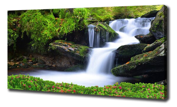 Tablouri tipărite pe pânză Cascada din pădure