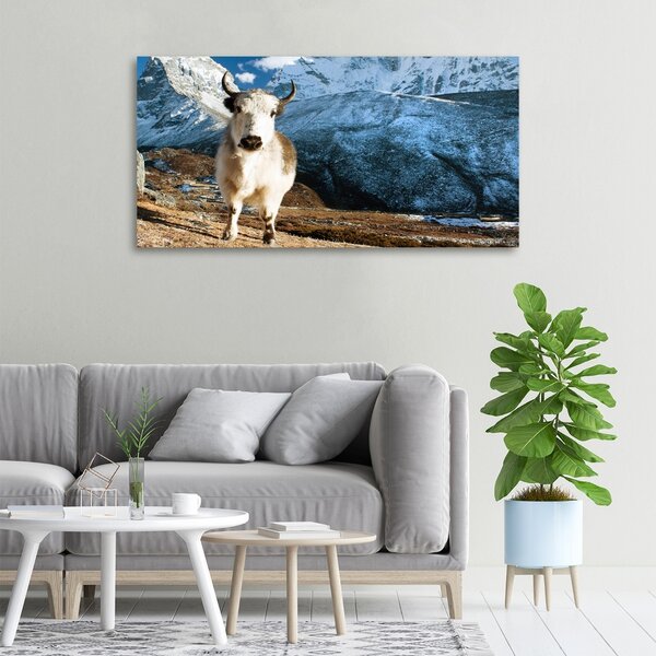 Print pe canvas ca munți