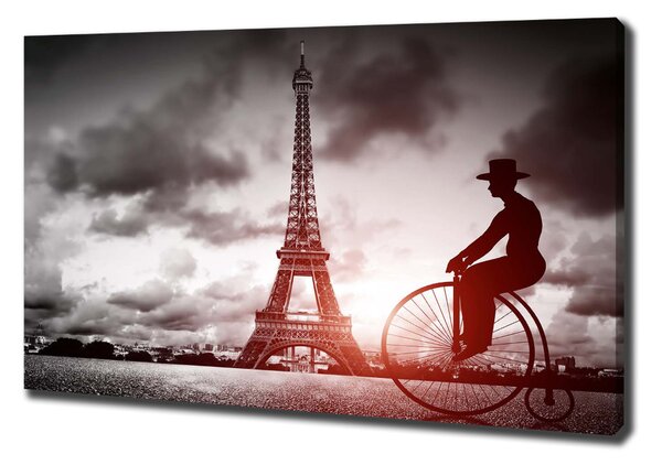 Tablou pe pânză canvas Turnul Eiffel din Paris