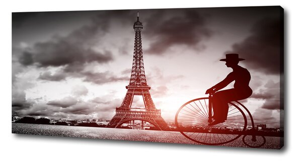Tablou pe pânză canvas Turnul Eiffel din Paris