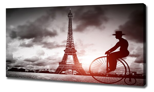 Tablou pe pânză canvas Turnul Eiffel din Paris