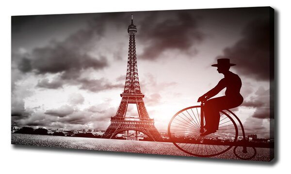 Tablou pe pânză canvas Turnul Eiffel din Paris