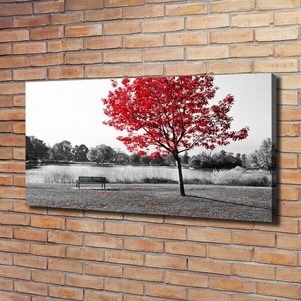 Tablou canvas copac roșu