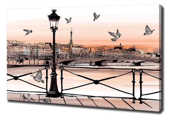 Tablou pe pânză canvas Dusk din Paris