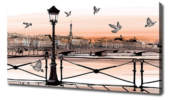 Tablou pe pânză canvas Dusk din Paris