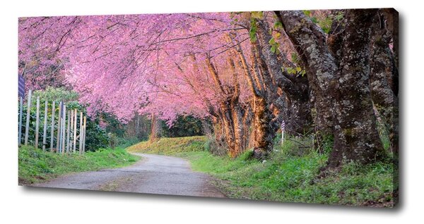 Tablou canvas flori de cireș