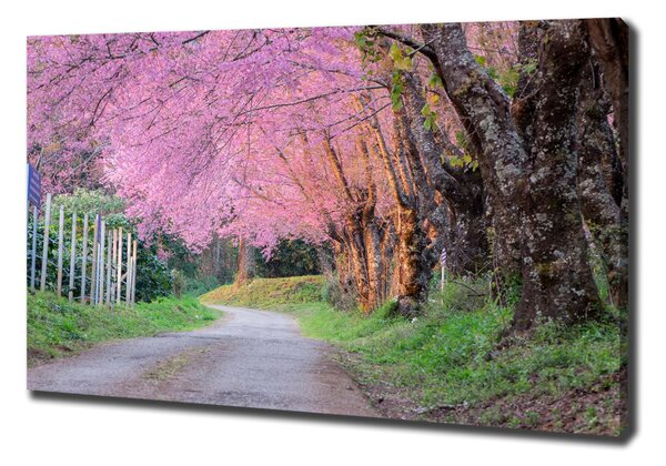 Tablou canvas flori de cireș