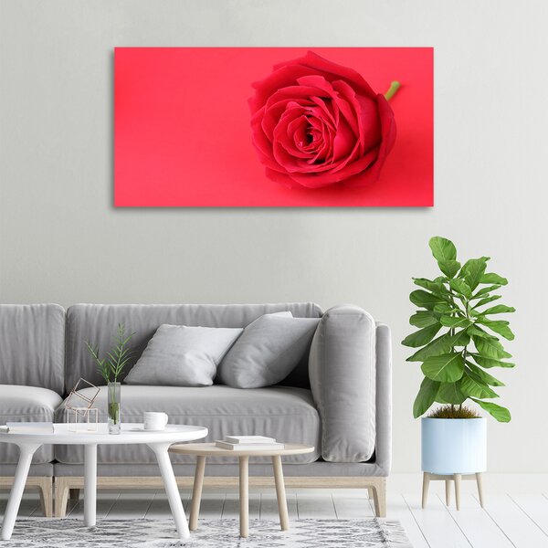 Tablou pe pânză canvas Trandafir roșu