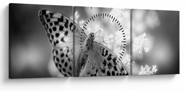 Tablou - Detailu cu fluture care polenizează floare (cu ceas) (90x30 cm)