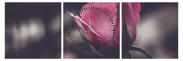 Tablou - Detaliu florii de trandafir (cu ceas) (90x30 cm)