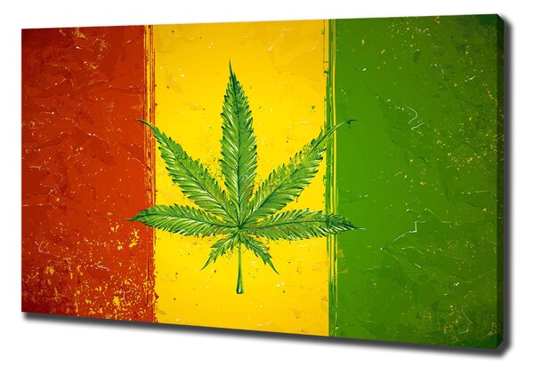 Imprimare tablou canvas pavilion Rasta