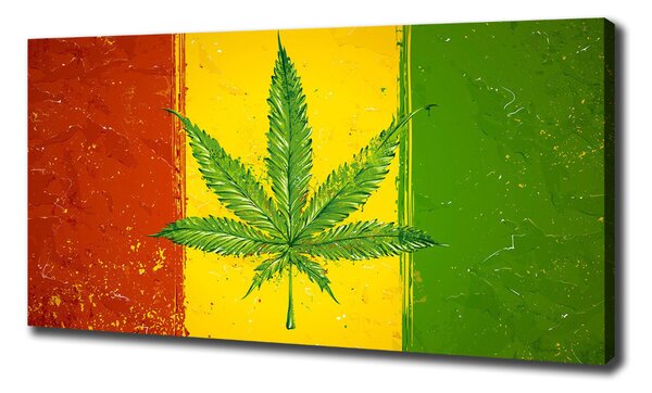 Imprimare tablou canvas pavilion Rasta