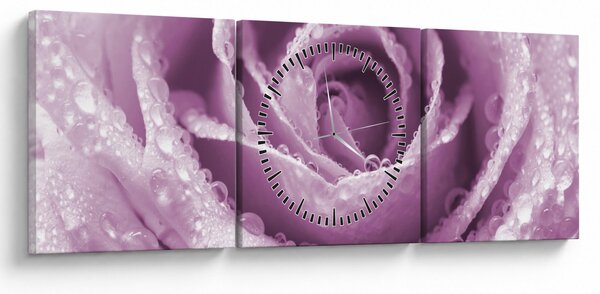Tablou detaliu de floare de trandafir (cu ceas) (90x30 cm)