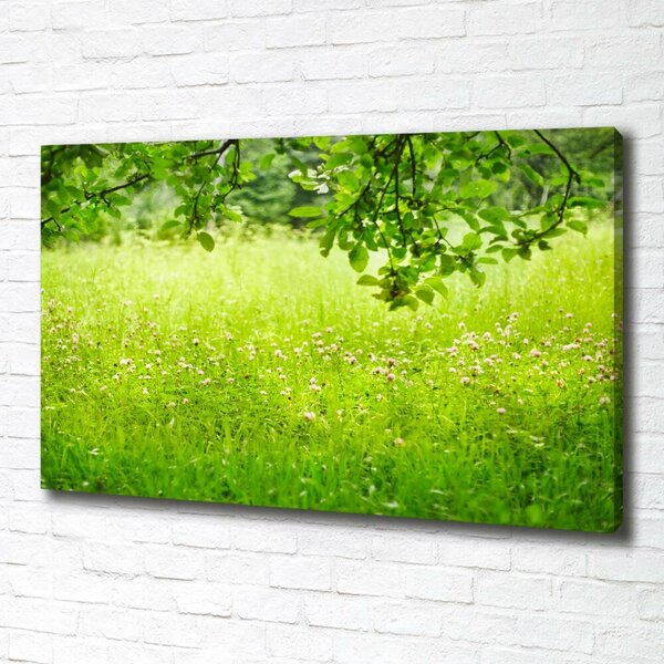 Tablou pe pânză canvas pajiște verde