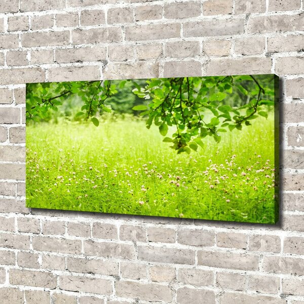 Tablou pe pânză canvas pajiște verde