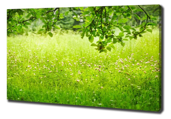 Tablou pe pânză canvas pajiște verde
