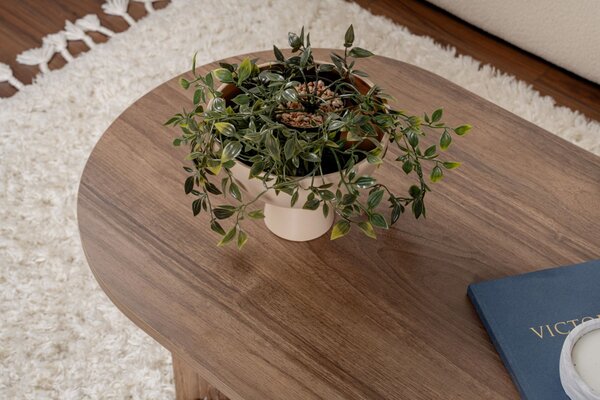 Masuta de cafea Sable Nuc