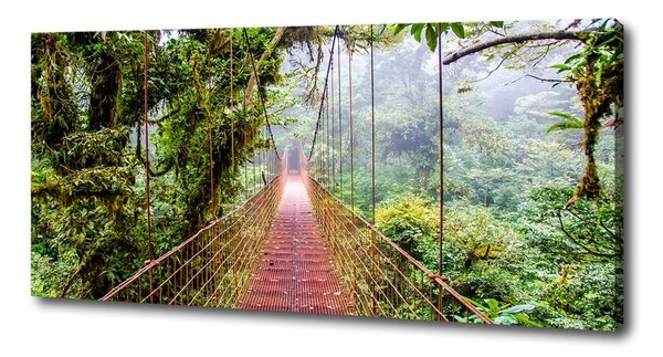 Print pe canvas Bridge în tropice