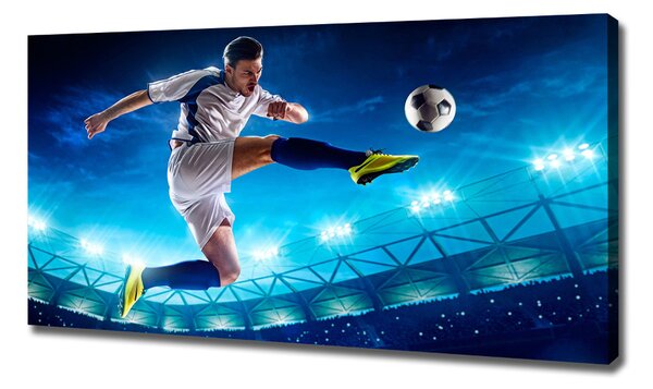 Tablouri tipărite pe pânză Fotbalist