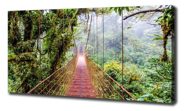 Print pe canvas Bridge în tropice