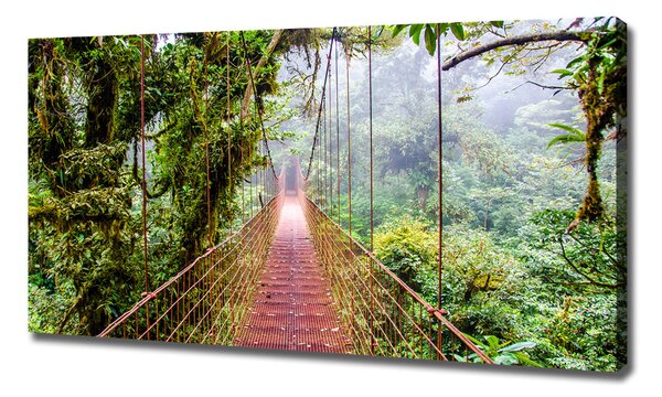 Print pe canvas Bridge în tropice