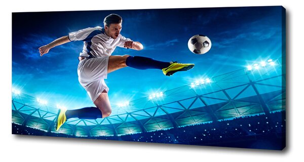 Tablouri tipărite pe pânză Fotbalist