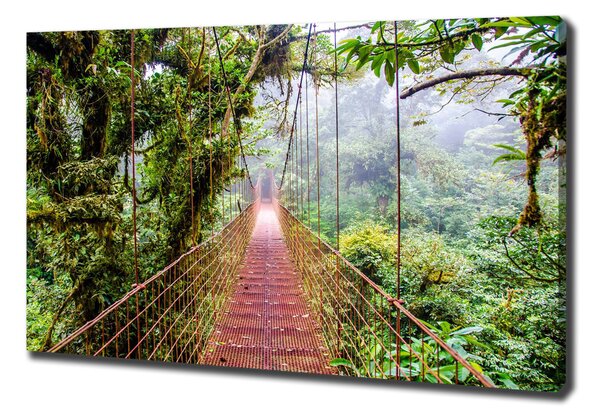 Print pe canvas Bridge în tropice