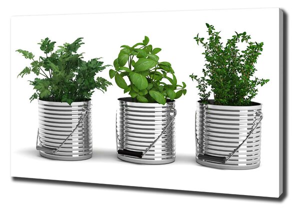 Tablou pe pânză canvas plante aromatice