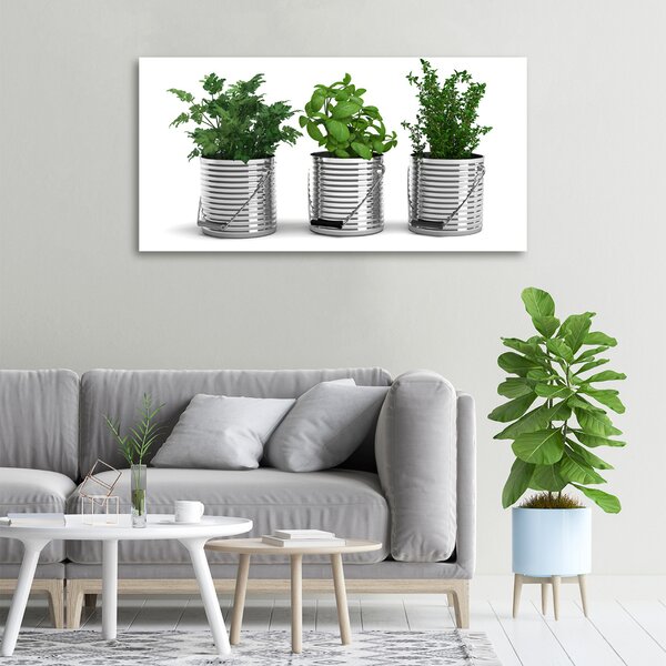 Tablou pe pânză canvas plante aromatice