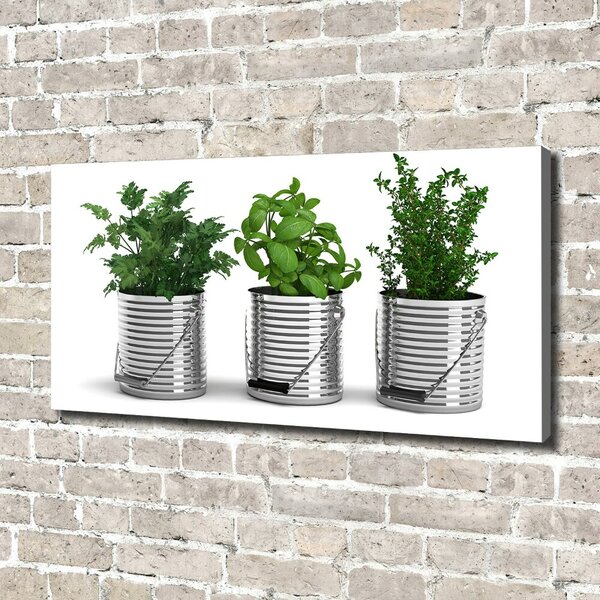 Tablou pe pânză canvas plante aromatice
