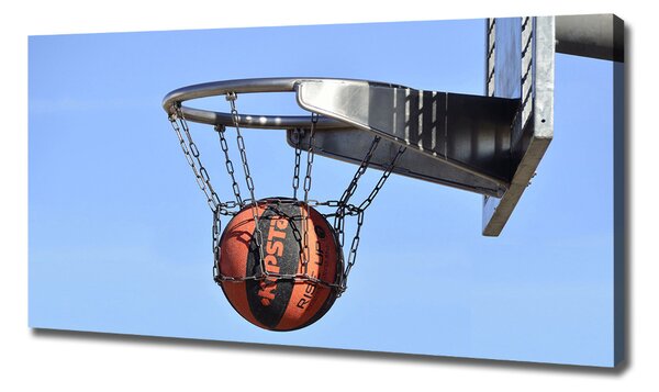Pictură pe pânză Baschet