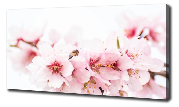 Print pe canvas flori de cireș